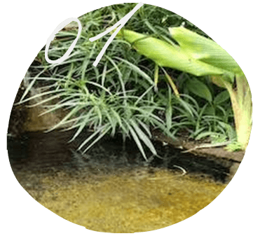 高水準な地下水を使用