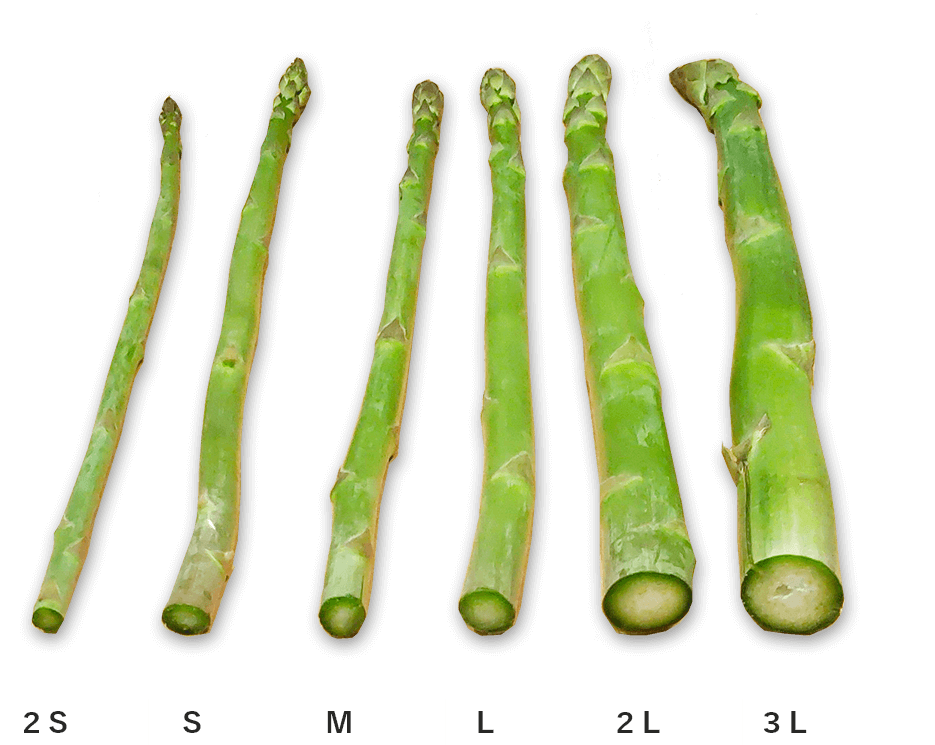 アスパラガス100g